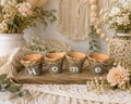 Home Flower Pots
